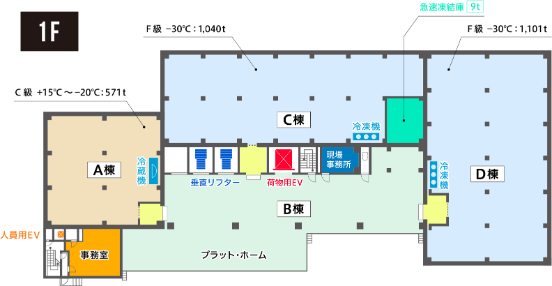 1F